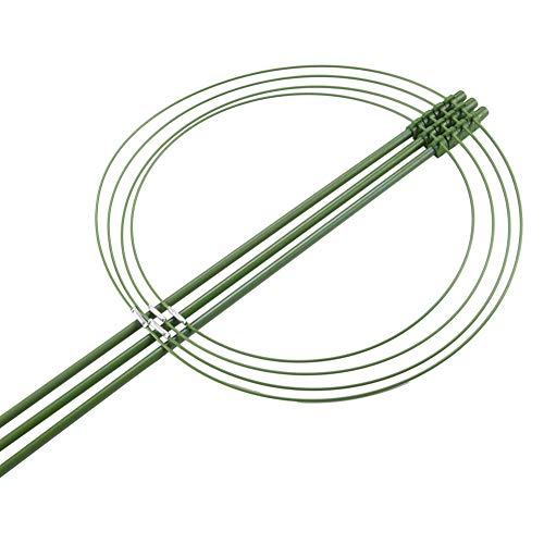OCEANPAX 3 Pack Plant Support Cages 36 Inches Plant Cages with 4 Adjustable Rings
