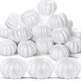 Lenwen 24 Pcs Fall White Foam Pumpkins for DIY Crafts - Paintable, Carvable Decor for Halloween, Thanksgiving & Autumn, 3.62 x 2.56 Inch