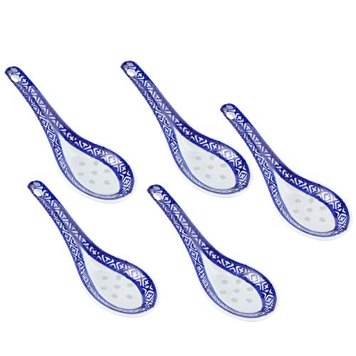 Cabilock 5pcs Porcelain Chinese Knot Blue Floral Soup Spoons Ceramic Spoons for Ramen Wonton Dumpling