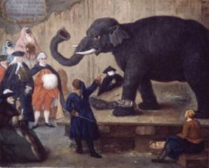 Peinture à l'huile The Display de The Elephant 1774 par Pietro Longhi en toile 30x36 pouces