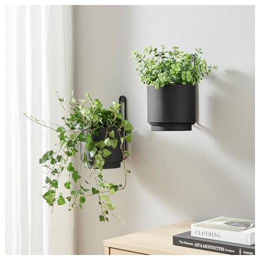 CISEANOL 2 Pcs Wall Mounted Hanging Planter Vase for Indoor and Outdoor Plants Modern Metal Wall and Ceiling Planter Minimalist Flower Pot (Black, 5.91 inch)