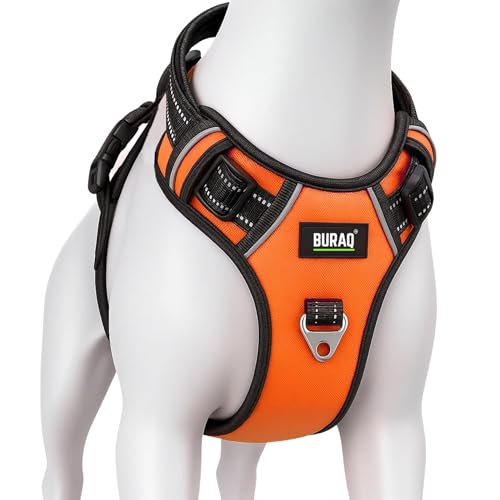 Image of Buraq Pets No Pull Dog Harness | Soft Padded for Small to Large Dogs