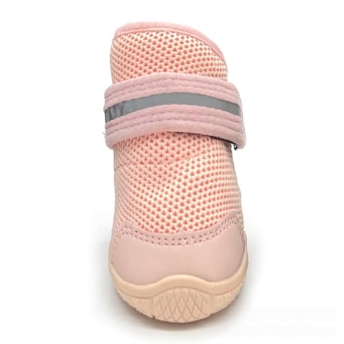 Diexgiy pV[Y ybgV[Y tďH~Ή ˍޕt EOp EH[LO ^E^Ή (sN,3)