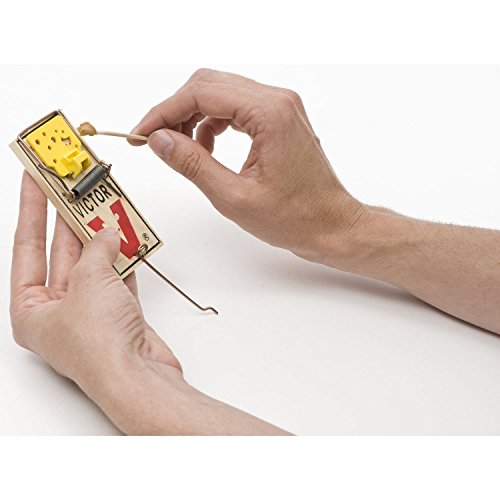 Image of VICTOR Easy Set Mouse Trap - 2Pk (Pack of 2)
