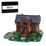 MasterBrickPlay