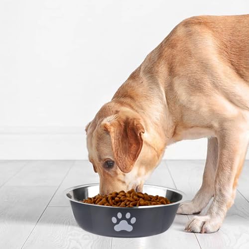 Hundenapf 3 Stück Fressnapf Hund Edelstahl - 860ml Hundenäpfe Rutschfest Wassernapf und Futternapf Hundenapf Rutschfest mitRutschfestem Silikonboden fürKleine Mittelgroße und Große Hunde undKatzen (3)