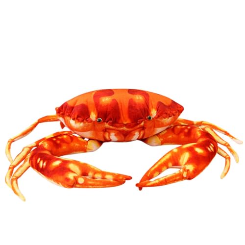 Jj I ʂ Jj I  Jj I NbV 킢 Jj I   _炩   Cm NX}X ̎q a v[gCm â 蕨 ʂ LbYp[eB[pi bh 80cm