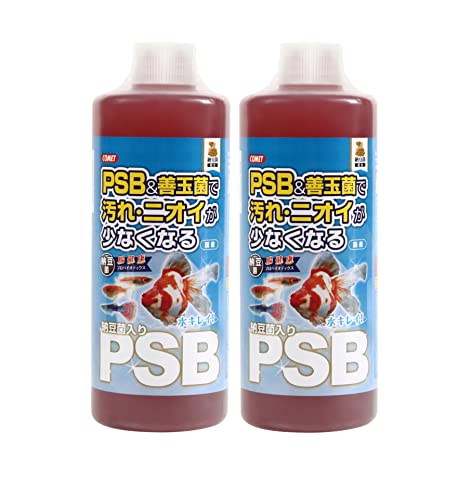Rbgy2{Zbgzy׋ہz[ۓ PSB 1bg