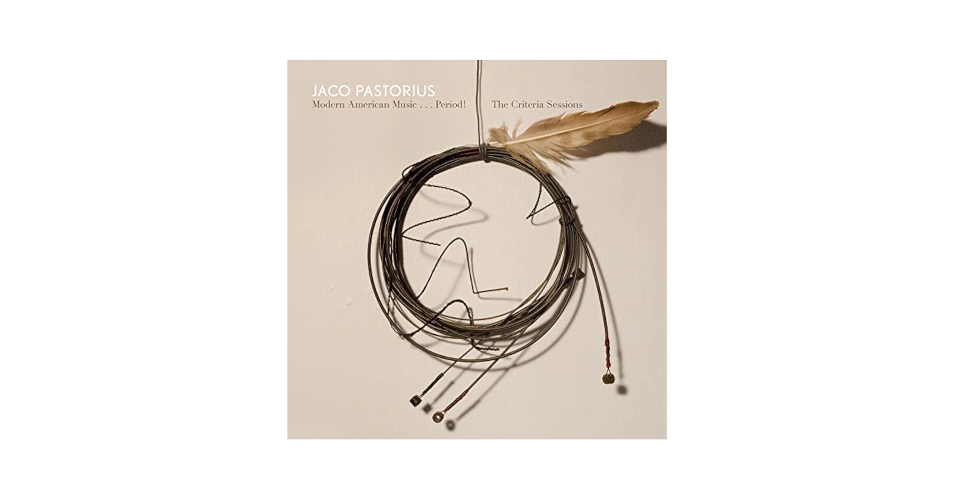 その他 Jaco Pastorius 20th Anniversary Doll Jaco Pastorius 20th Anniversary JacoDoll | eBay