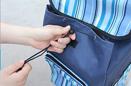 Carrito multifuncional plegable para compras miniatura 2