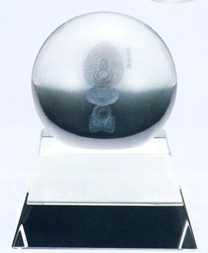 xu N  ub FOX{[ b NAOX y uz2025N  u