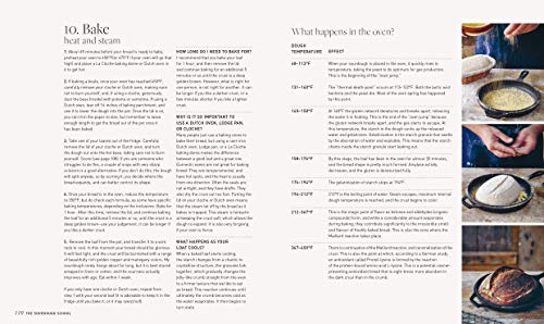 Image of The Sourdough School: The Ground-Breaking Guide to Making Gut-Friendly Bread