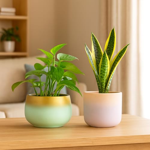 Image of Urban Plant Terracotta Pot - Trendy Planter for Modern Home & Garden Spaces (Terracotta Bliss - Set of 2)