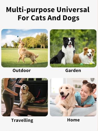 20 Stück Haustierhandschuhe, Reinigungstücher für Hund und Katze, Fellgesicht, Ohr, Auge, Pfoten, Reinigungstücher für die tägliche Pflege und Reisen, kein Ausspülen, sanft, verdickt