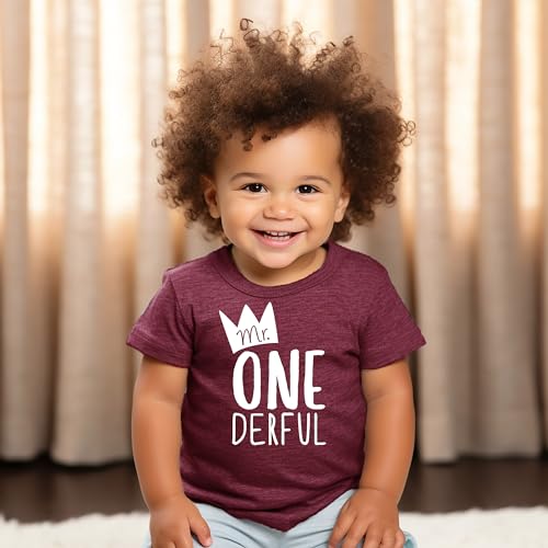 image for Olive Loves Apple Birthday Mr One-Derful for Boys 1st Birthday Shirt f