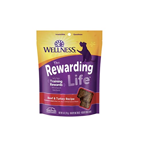 Top 7 Best Dog Treats for Chihuahuas in 2023 Reviews & Top Picks