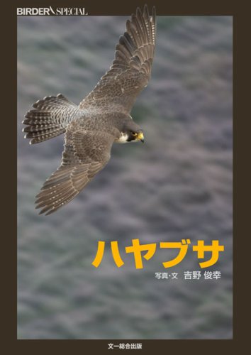 ハヤブサ (BIRDER SPECIAL)