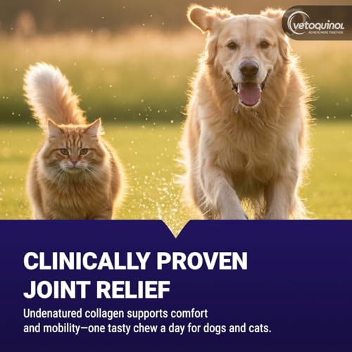 Vetoquinol Flexadin Advanced Dog Cat Joint Supplement Undenatured Collagen 60