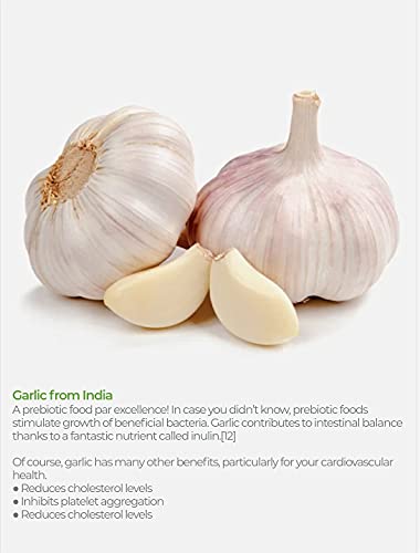 Oregarlix Premium Gut Health Supplement. Best Support For Intestinal Cleansing Microbial Balance With Premium Prebiotics - Help Keep Good Bacteria Healthy & Growing - 100% Natural (3-Pack) #TOP3