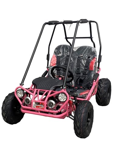 Trailmaster Mini XRX/R+ Go Kart with Reverse Top of The line. Age up to 10 Years Old Pedals and Seats Adjust (Pink)
