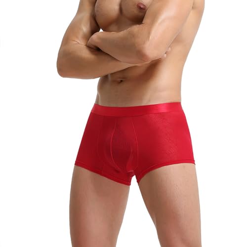 Evankin Men's Boxer Brief Underwear See Through Mesh Sexy and Fun Underpants Shorts Home Comfortable Lingerie3
