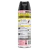 Raid Fragrance Free Ant and Roach Killer, 17.5 oz Aerosol Can, 12/Carton (333822)