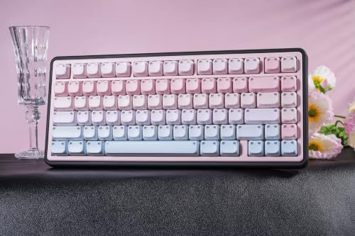 Image of ZORNHER UR82 Wireless Mechanical Keyboard,75% Creamy Keyboard with Cute Cat-Ear Shine Through Keycaps, Hot-Swappable RGB Gaming Keyboard for Windows /Mac, BT /2.4G /USB-C,Bubble Cat Pink Blue