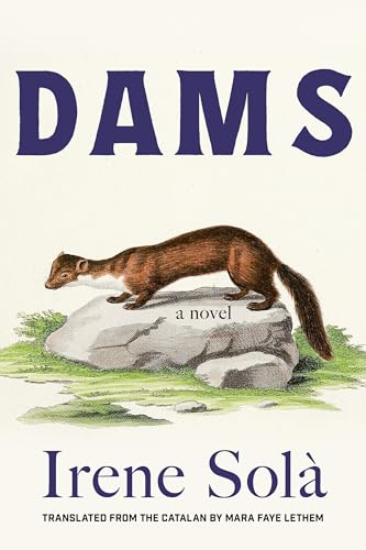 Dams: A Novel