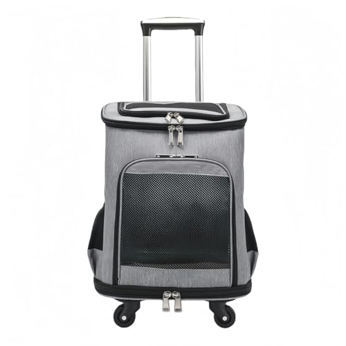 JORERAORMES�y�b�g���s�o�b�N�p�b�N�y�b�g�g�ё܃L���X�^�[�t���ȃX�y�[�X�U�����O�����ʋC���O�o (�O���[)