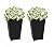 Keter Set of 2 Resin Modern Outdoor 22 Inch Tall Large Flower Pots, Tapered Wood Look Planters for Outdoor Plants and Front Porch Decor, Graphite