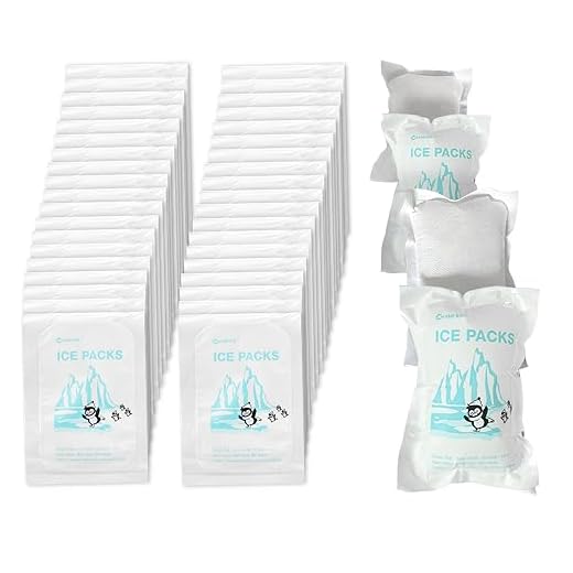 96 case Ice Pack Leakproof Gel Refrigerant Brix, Dry Pack Automatic Water Absorption, Reusable Cooling for Keep Food Fresh and Beverage Cold, 3.5 oz Capacity, 4.3" Length x 3.1" Width x 1" Thick