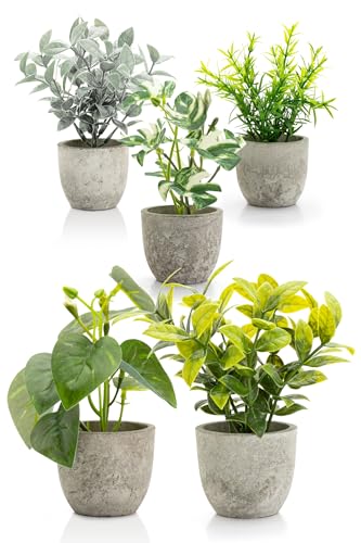 October1st tFCNO[ ϗtA lH 5_Zbg p G}H  CeA  ~j indoor plants lHA fake plant   sv 蕨 Mtg ̓ ̓ v[g