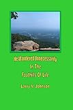 He Wandered Unnecessarily In The Foothills Of Life