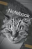 Notebook: Cat Lover Tabby asleep in a box, planner, journal, 120 Lined pages for Notes