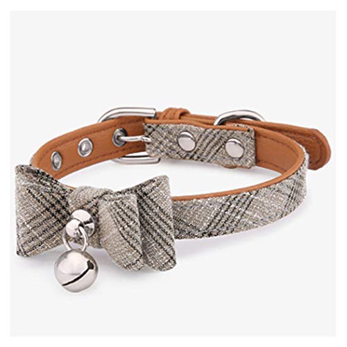 SUNCN L  ^ Lp t TCY߉\  lN^C y  KȃfUC ʐ^Be S  L qp SU ȒPE ybgpi(AvRbg)