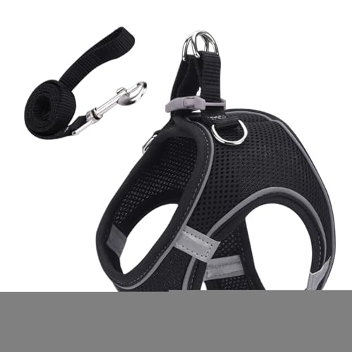 Lbgn[lX,Lbgn[lX [hZbg | ^ ^ ^ ybg xXgJ[ oR Lv AEghAp