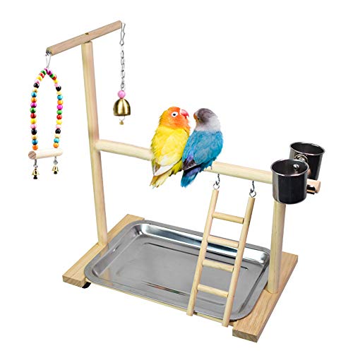 image for Dbeans Flourithing Bird Playground Parrot Playstand, Bird Play Stand w