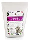 Dr. Harvey's Paradigm Green Superfood Dog Food, Human Grade Dehydrated Grain Free Base Mix for Dogs, Diabetic Low Carb Ketogenic Diet (6 Pounds)