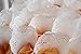 Assembled Confetti toss Cones, Set of 100 Small Cones for Confetti, Lavender, Rice 5,5'' (100)