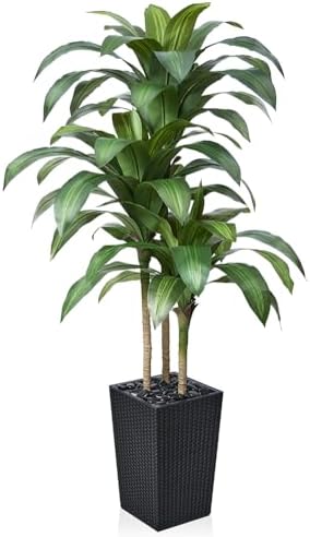 VeriNatural 5FT Artificial Dracaena Tree - UV Resistant Faux Trop...