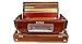 Bina Harmonium Portable Harmonium Harmonium BINA no. 32 Scalechange portable