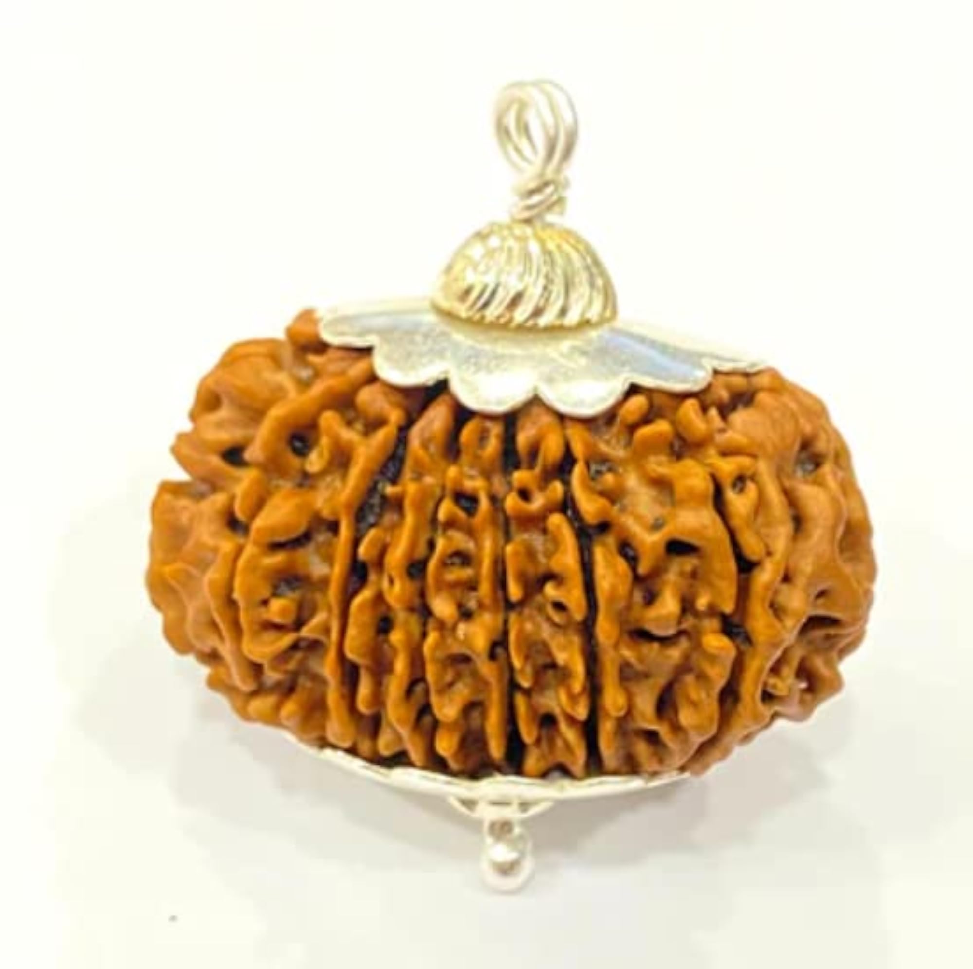 Original Certified 18 Mukhi Rudraksha Pendant from Nepal