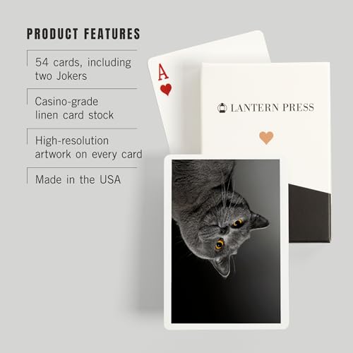 Mazo de cartas Poker British Shorthair Cat 52 piezas miniatura 3