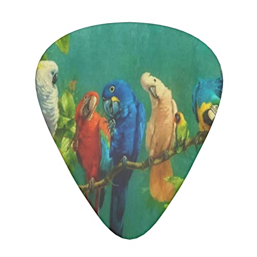Parrots Birds Lot de 12 médiators fins moyens et lourds pour guitares acoustiques électriques - Les Beatles, Paul McCartney, John Lennon, RIngo Starr, George Harrison Parrots Birds Lot de 12 médiators fins moyens et lourds pour guitares acoustiques électriques