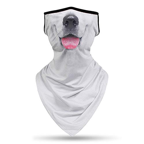 DETUCK (TM) lbNJo[ |lbNJo[ tFCXJo[ ACXVN ԏ󐶒n ⊴ ėp y RpNguvJbg Ăh h ho z jp (G-1)