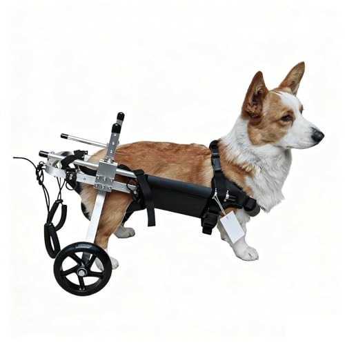 Rear Support Dog Wheelchair, Large Breed 2-Wheel Mobility Cart, Dual-Bearing Tires for Smooth Ride, Easy Size Fit S-XXL, Sturdy Aluminum(XXL)