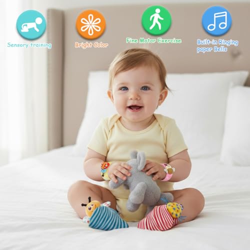 Image of SNOWIE Soft Rattle Set for Babies 0-6 Months with Sensory Wristbands | Toys for 6 Month Old Baby with Cute Colorful Cartoon Plush Rattle for Newborn Baby Gift (Garden Bug)