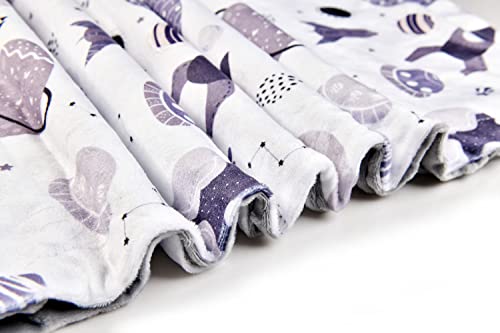 Image of Baby Blanket, Soft Minky Warm Blanket for Boy or Girl, Receiving Blanket with Double Layer Dotted Backing for Newborns Nursery Stroller Toddlers Crib Bedding (30 x 40 Inch) Grey Space