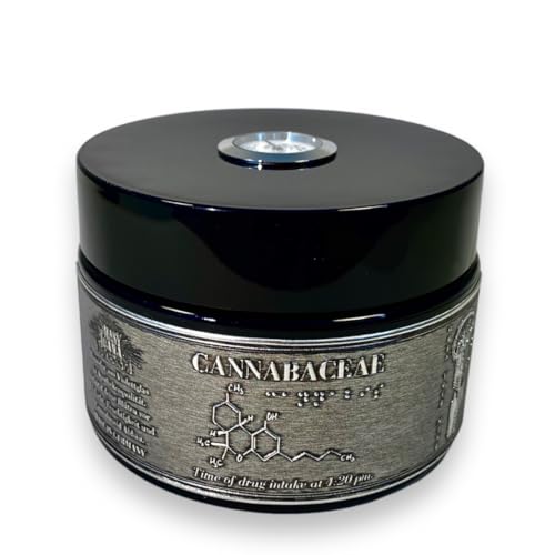 Generisch Glas Aufbewahrung Behälter Konservierung Fermentierung Lagerung