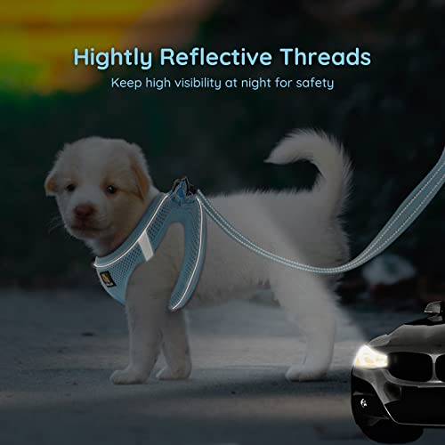 BELLA & PAL Hundegeschirr Kleine Hunde mit Leine, Step-in Geschirr aus Air Mesh, Anti Zug Reflektierend Atmungsaktiv Brustgeschirr, Welpengeschirr für Kleine Hunde, Katzengeschirr, Blau, L